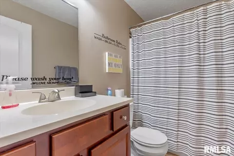 406 E Spruce St, Chatham, IL 62629 photo 21