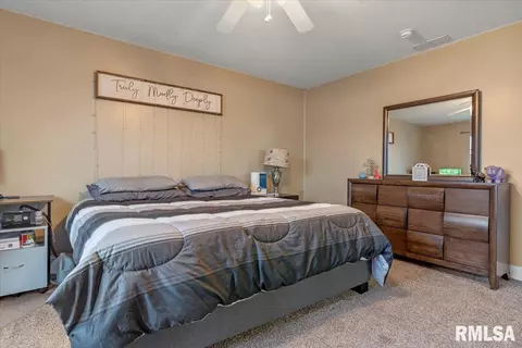 406 E Spruce St, Chatham, IL 62629 photo 15