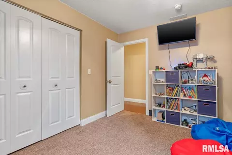 406 E Spruce St, Chatham, IL 62629 photo 20