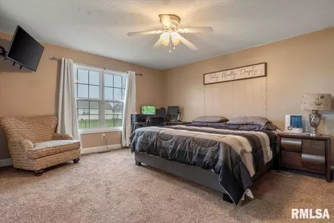 406 E Spruce St, Chatham, IL 62629 photo 14