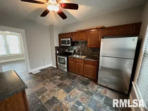 924 Henrietta St, Springfield, IL 62704 photo 11