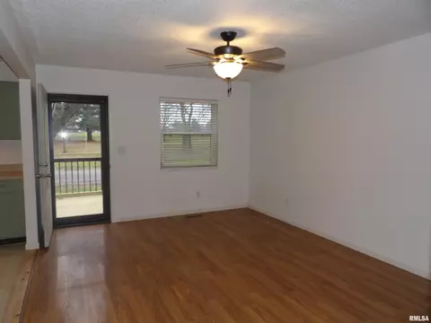 305 E Sangamon Ave, Springfield, IL 62702 photo 6