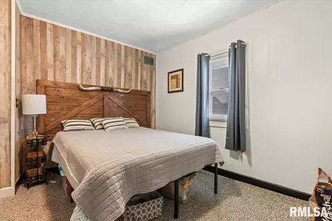 1615 N 10th Ave, Springfield, IL 62702 photo 19
