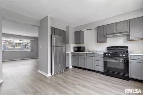 225-229 N Park Ave, Springfield, IL 62702 photo 13
