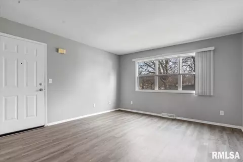 225-229 N Park Ave, Springfield, IL 62702 photo 7