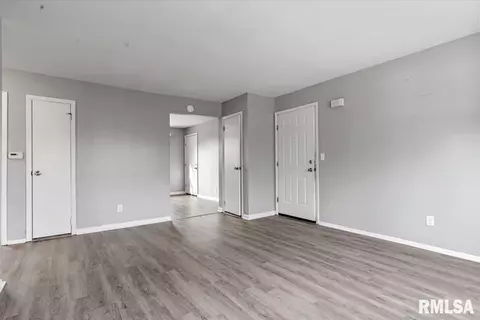 225-229 N Park Ave, Springfield, IL 62702 photo 6