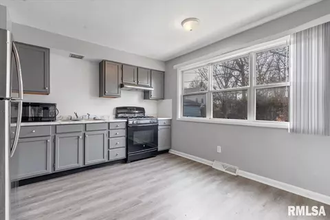 225-229 N Park Ave, Springfield, IL 62702 photo 11