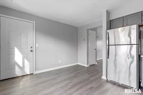 225-229 N Park Ave, Springfield, IL 62702 photo 10