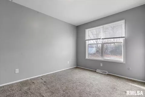 225-229 N Park Ave, Springfield, IL 62702 photo 17