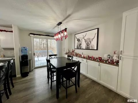 18498 Nance Ave, Tallula, IL 62688 photo 12