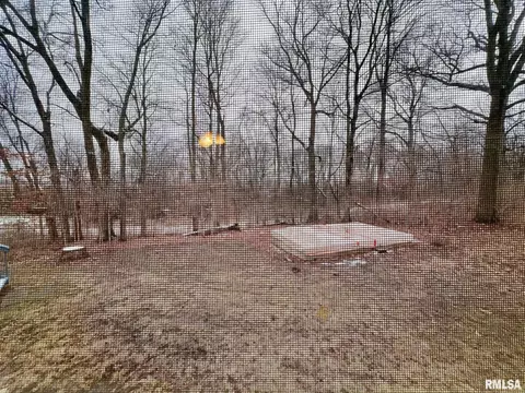 18498 Nance Ave, Tallula, IL 62688 photo 37