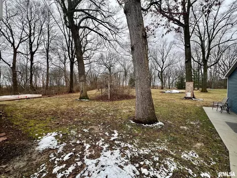 18498 Nance Ave, Tallula, IL 62688 photo 34