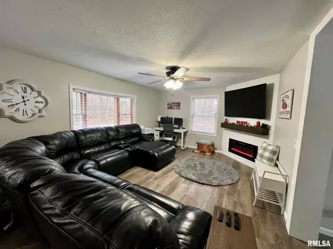 18498 Nance Ave, Tallula, IL 62688 photo 3