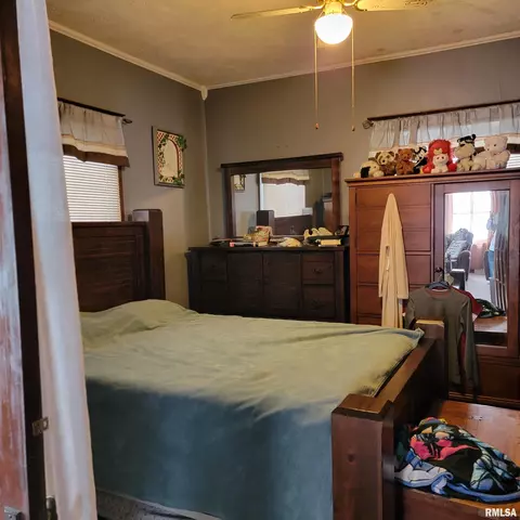 811 Clark St, Canton, MO 63435 photo 15
