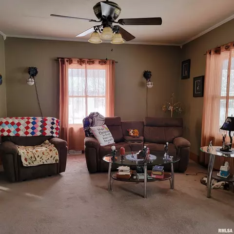 811 Clark St, Canton, MO 63435 photo 3