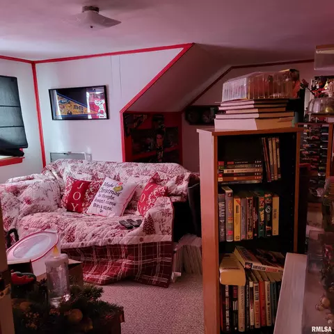 811 Clark St, Canton, MO 63435 photo 21