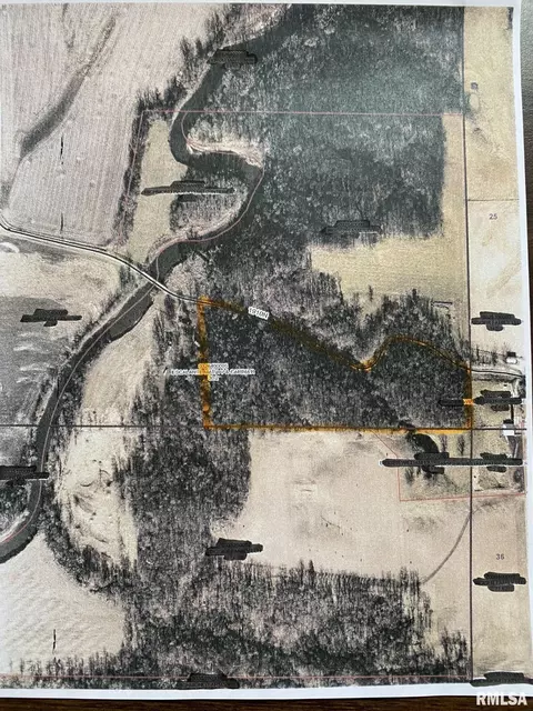N Township Road, Oquawka, IL 61469