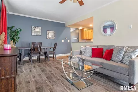 1608 W Capitol Ave, Springfield, IL 62704 photo 5