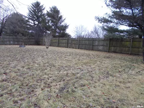 230 Olive St, Latham, IL 62543 photo 4