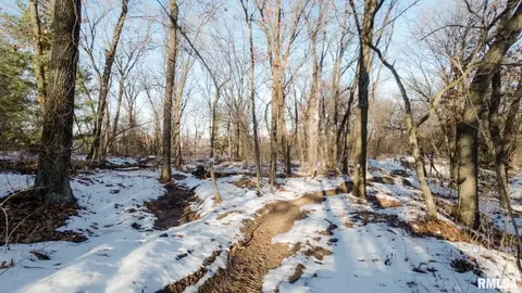 2761 Township Rd, Seaton, IL 61476 photo 28