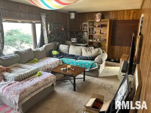 1016 W Iles Ave, Springfield, IL 62704 photo 9