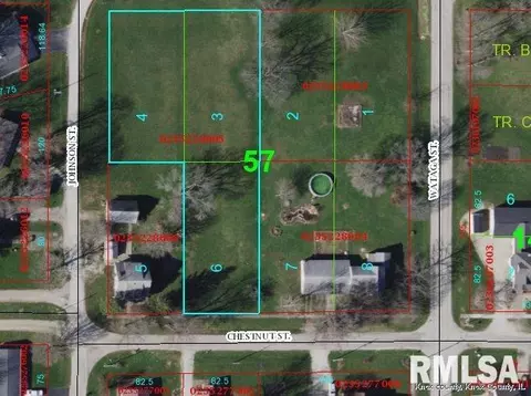 0 W Chestnut St, Oneida, IL 61467