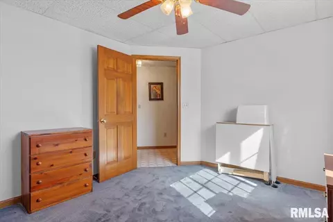 835 Brookview Rd, Dawson, IL 62520 photo 25