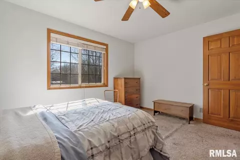835 Brookview Rd, Dawson, IL 62520 photo 18