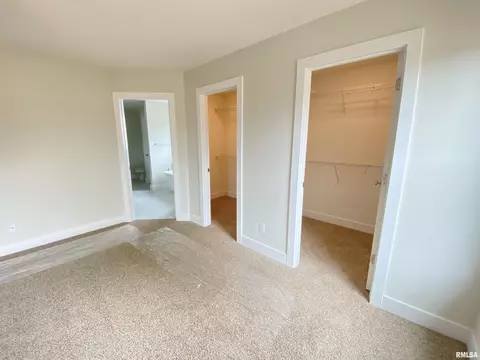 416 Hawks Nest Dr, Chatham, IL 62629 photo 10
