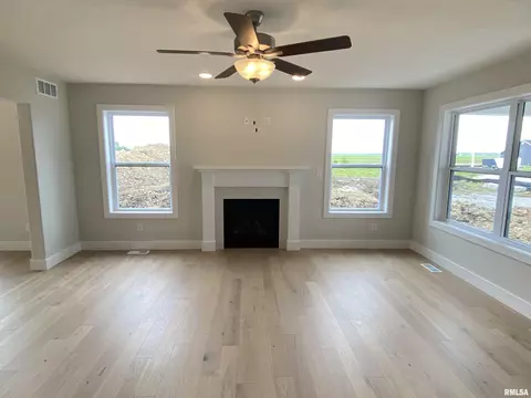 416 Hawks Nest Dr, Chatham, IL 62629 photo 5