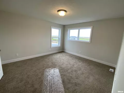 416 Hawks Nest Dr, Chatham, IL 62629 photo 17
