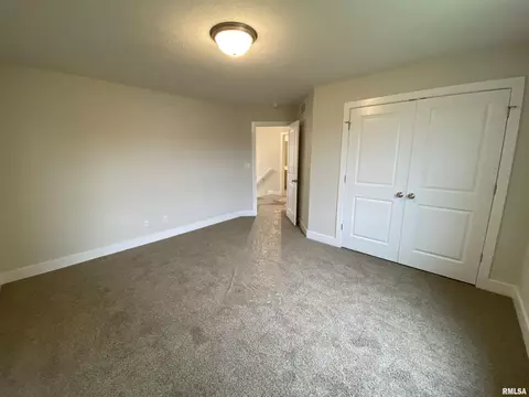 416 Hawks Nest Dr, Chatham, IL 62629 photo 20