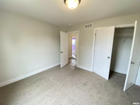 416 Hawks Nest Dr, Chatham, IL 62629 photo 25