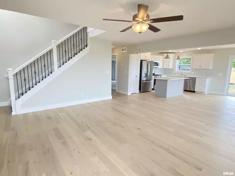 416 Hawks Nest Dr, Chatham, IL 62629 photo 4