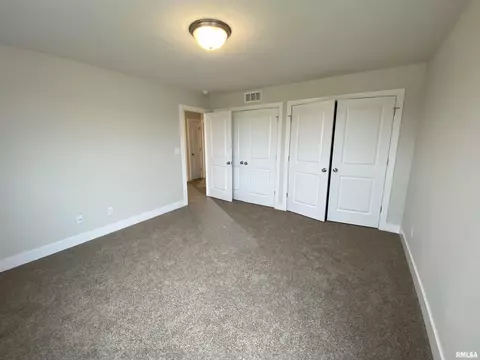 416 Hawks Nest Dr, Chatham, IL 62629 photo 18