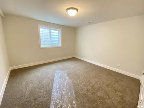 416 Hawks Nest Dr, Chatham, IL 62629 photo 29