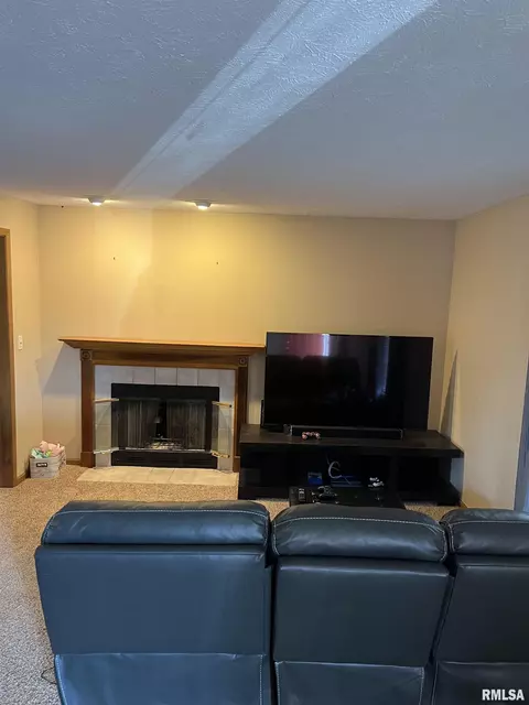 3901 Mccormick Dr, Springfield, IL 62707 photo 3