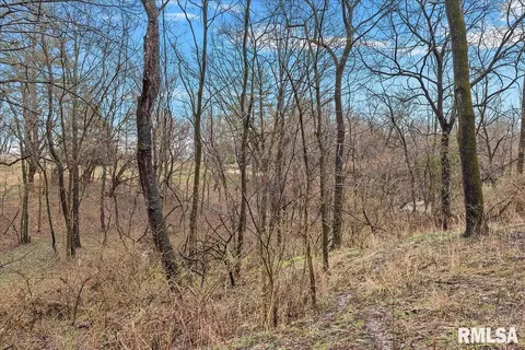 2930 Carriage Ln, Springfield, IL 62707 photo 30