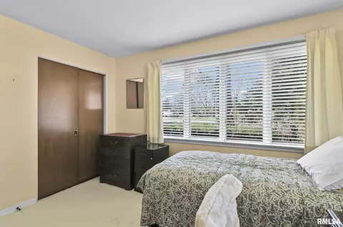 18 The Elms Ln, Springfield, IL 62712 photo 23