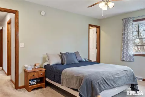 3205 Ellendale Dr, Springfield, IL 62704 photo 22