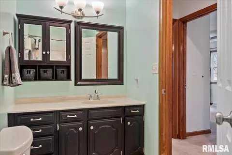 3205 Ellendale Dr, Springfield, IL 62704 photo 20