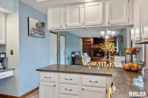 3205 Ellendale Dr, Springfield, IL 62704 photo 9