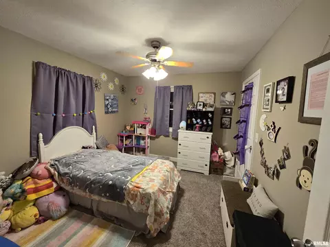 201 E Hickory St, Athens, IL 62613 photo 17