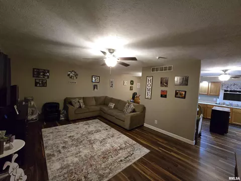 201 E Hickory St, Athens, IL 62613 photo 3