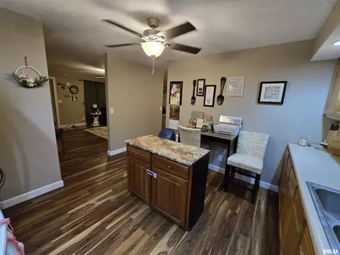 201 E Hickory St, Athens, IL 62613 photo 8