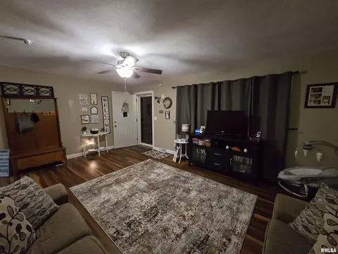 201 E Hickory St, Athens, IL 62613 photo 5