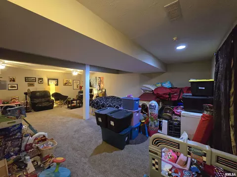 201 E Hickory St, Athens, IL 62613 photo 23