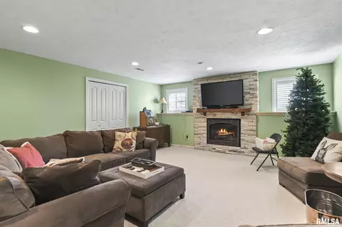 Living - 6209 Winterberry Ln, Springfield, IL 62712 photo 7 of 8