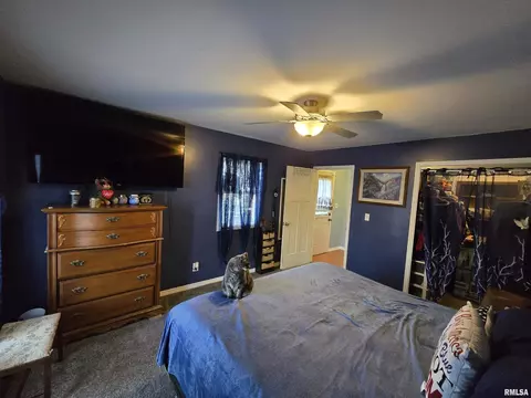 1306 N 2nd St, Springfield, IL 62702 photo 27