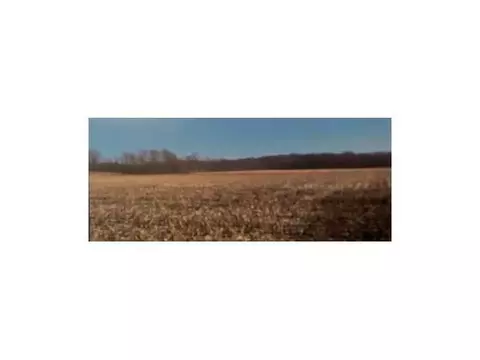 27 Acres Kilbourne, Kilbourne, IL 62655